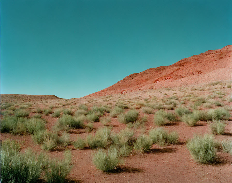 Barren desert landscape with shrubs and red dirt hill under clear sky