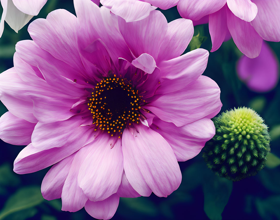 Vibrant Pink Flower with Dark Center and Golden Anthers in Green and Purple Setting