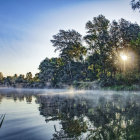 Tranquil landscape with blooming flowers, trees, water reflection, birds, and sunlight