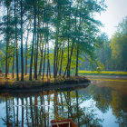 Boats Moored at Lakeside Dock Amid Coniferous Trees