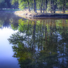 Tranquil landscape with trees reflected in still lake