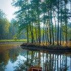 Tranquil forest scene with wooden boat on calm water at dawn or dusk