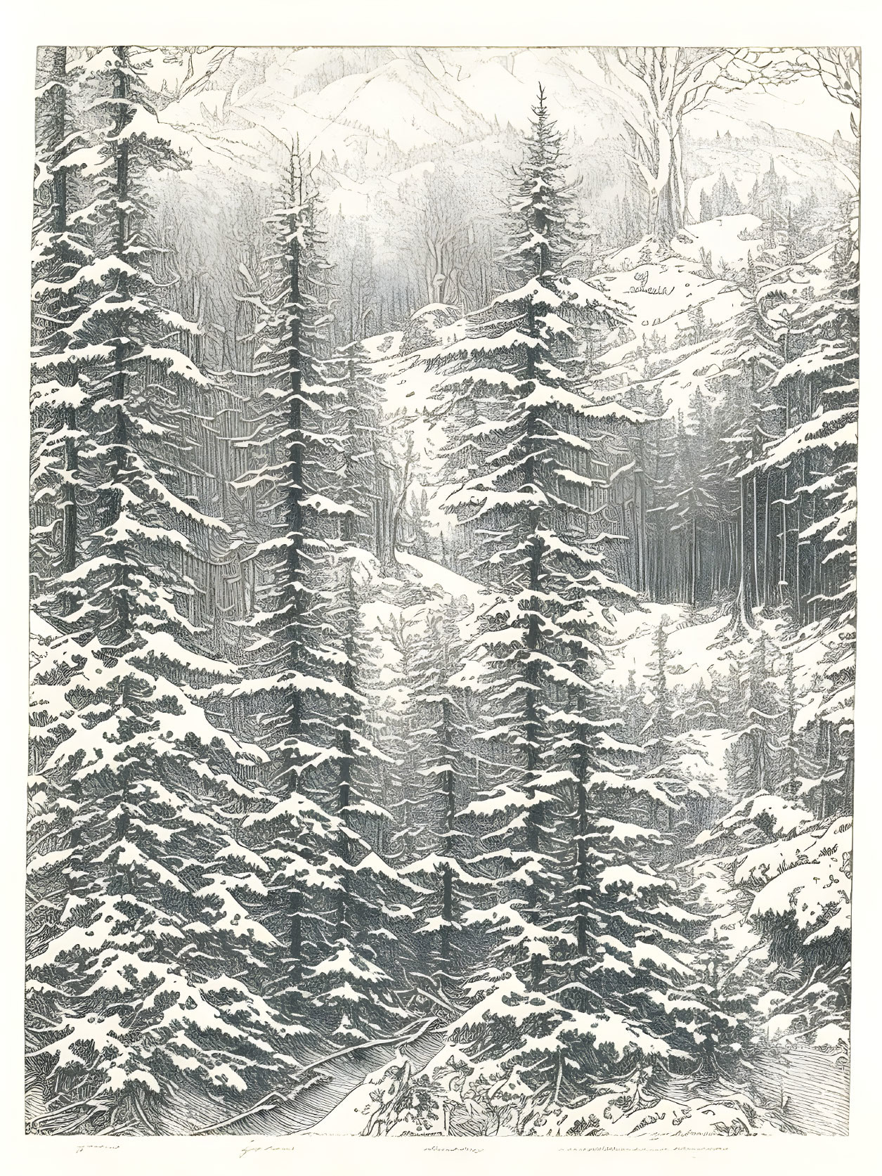 Detailed pencil sketch of snow-covered forest with dense pine trees & distant mountain