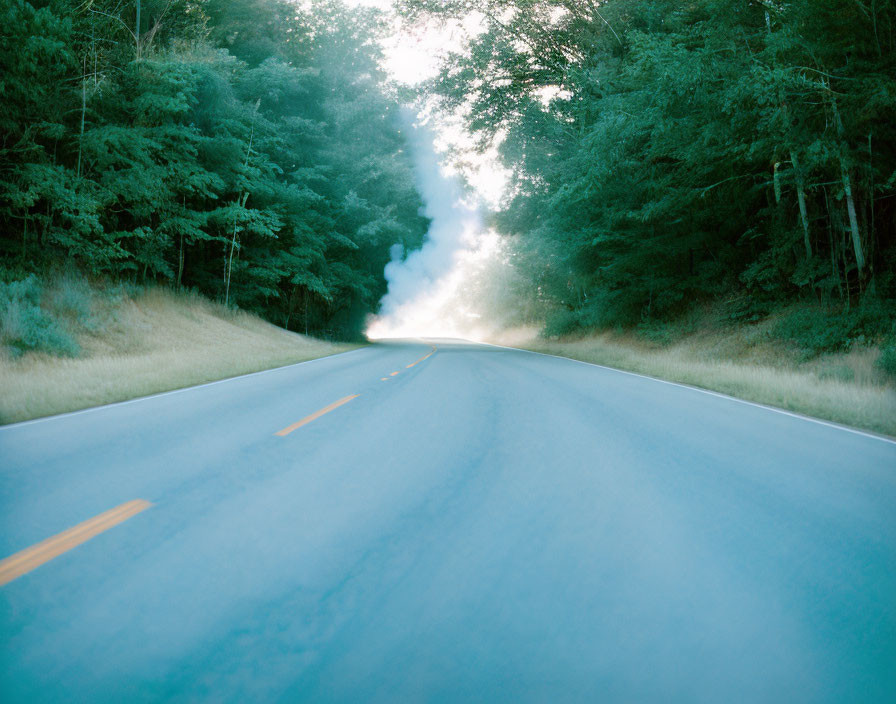 Tranquil road bordered by lush green trees and misty horizon