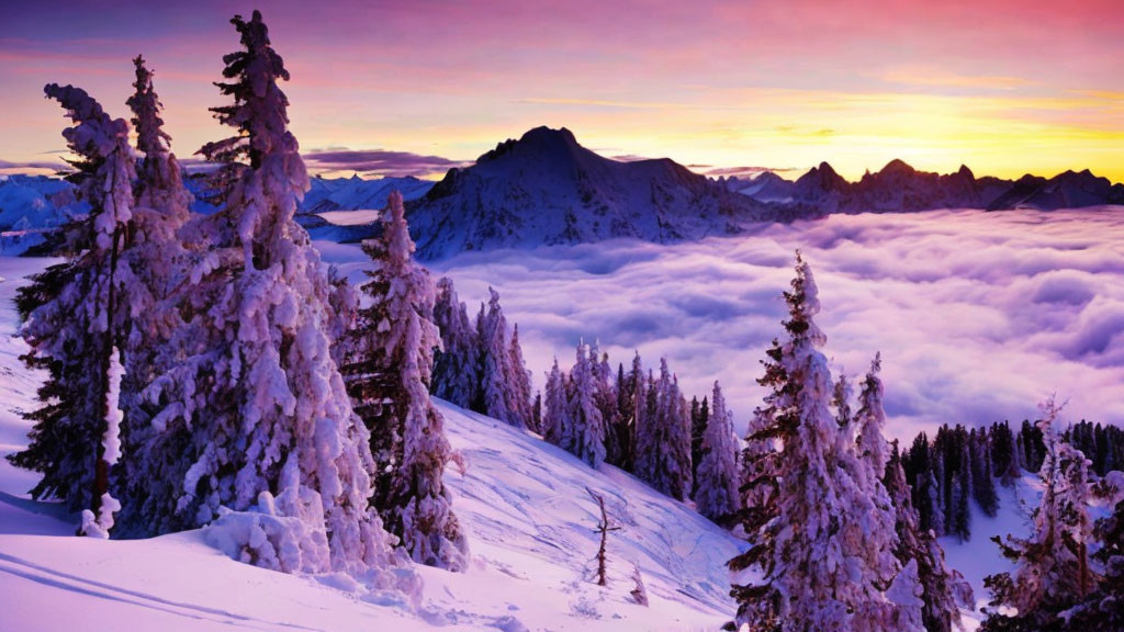 Scenic sunrise over snow-covered mountain trees