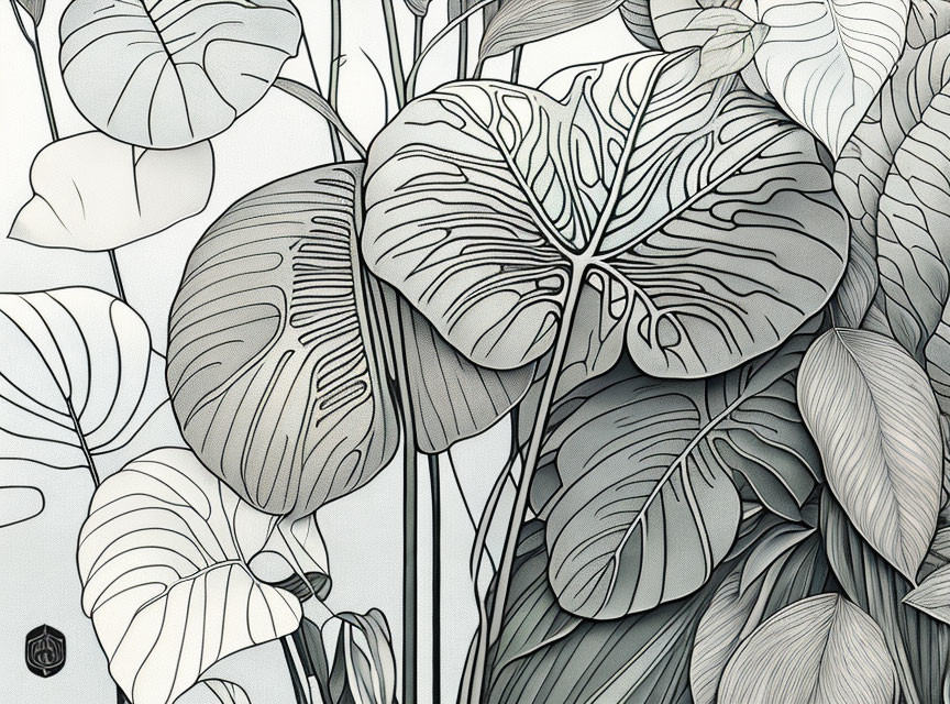 Detailed monochrome tropical leaf illustration with intricate patterns and shading