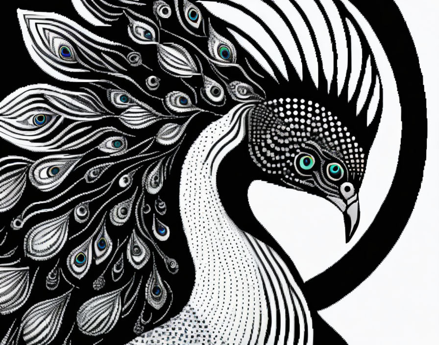 Detailed monochrome peacock illustration with intricate eye-like patterns