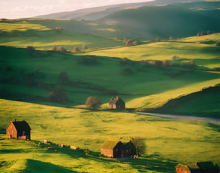 Scenic view of green hills, buildings, and trees under warm sunlight