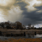 Autumn landscape with stormy sky, flying birds, and reflective lake