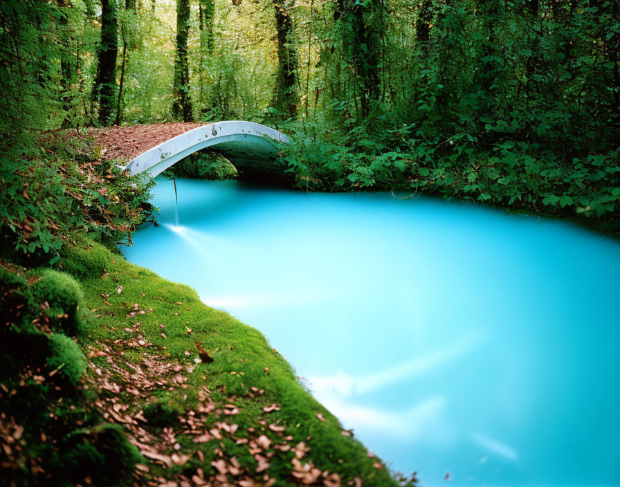 Tranquil stream under arched bridge amid lush greenery