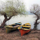 Colorful Boats on Calm Lake Shore with Blooming Trees & Distant Mountains
