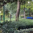 Tranquil Japanese garden with blossoming trees and arched bridge