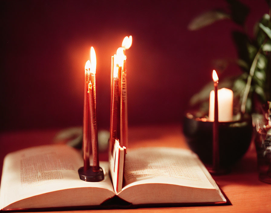 Lit candles on open book with warm glow, plant and candle in background