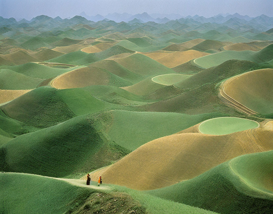 Two individuals strolling through green hills on a path under a hazy sky