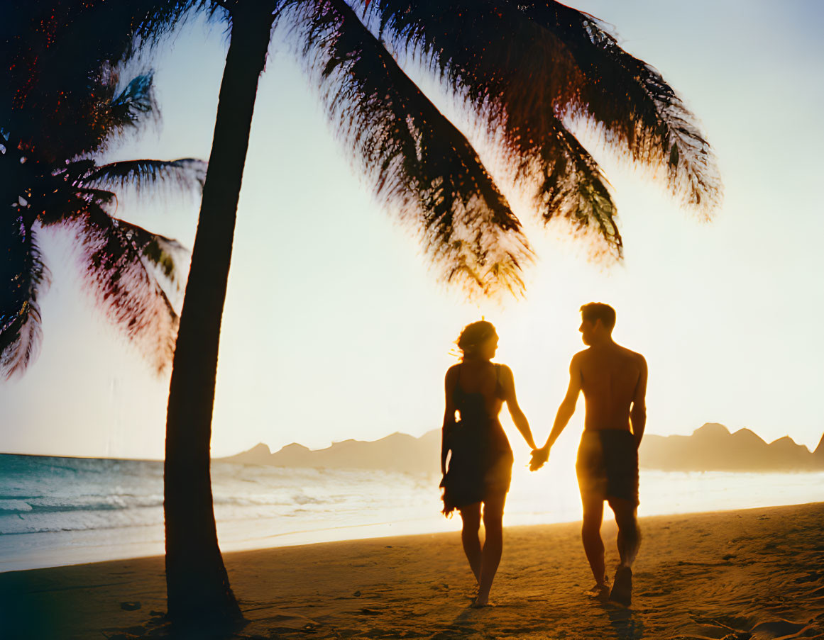 Couple holding hands on beach at sunset with palm trees silhouette