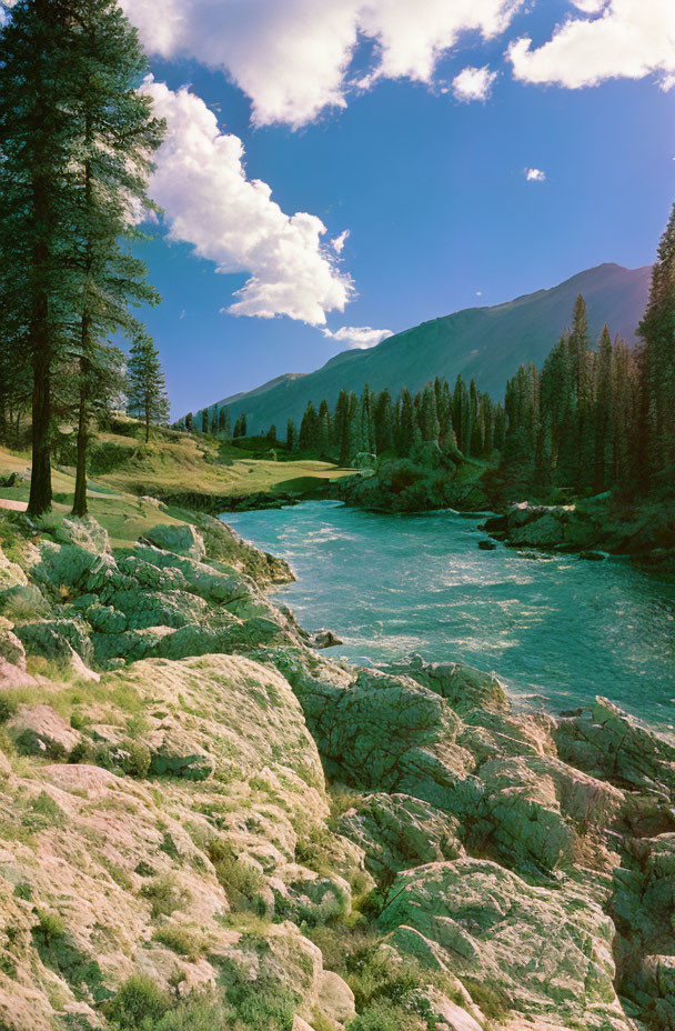 Tranquil riverscape with lush trees, moss-covered rocks, and mountain backdrop