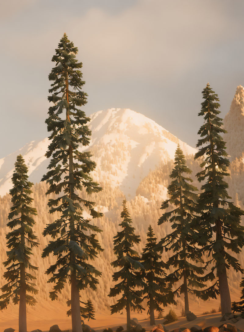 Snowy mountain and evergreen trees under golden sunlight