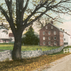 Tranquil village scene with thatched-roof houses and giant tree amid lush greenery