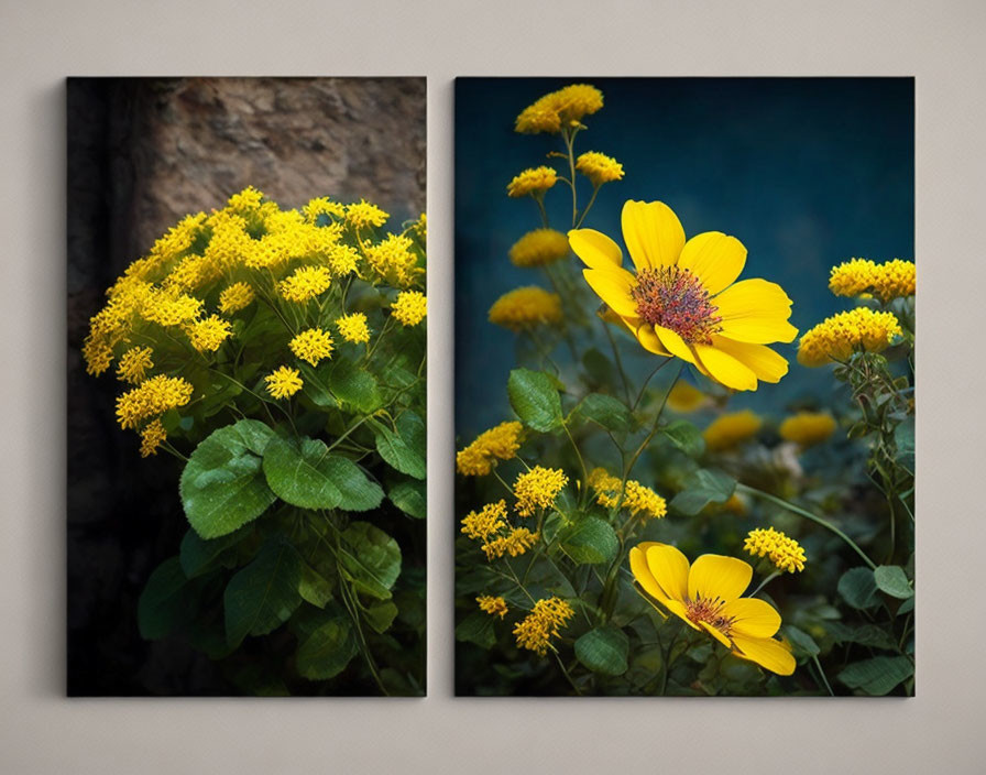 Vibrant yellow flowers on dark background in two-panel wall art