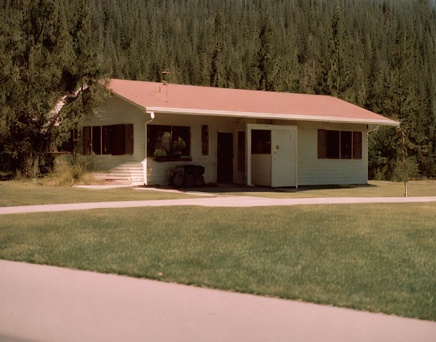 White Single-Story House with Brown Roof Surrounded by Trees