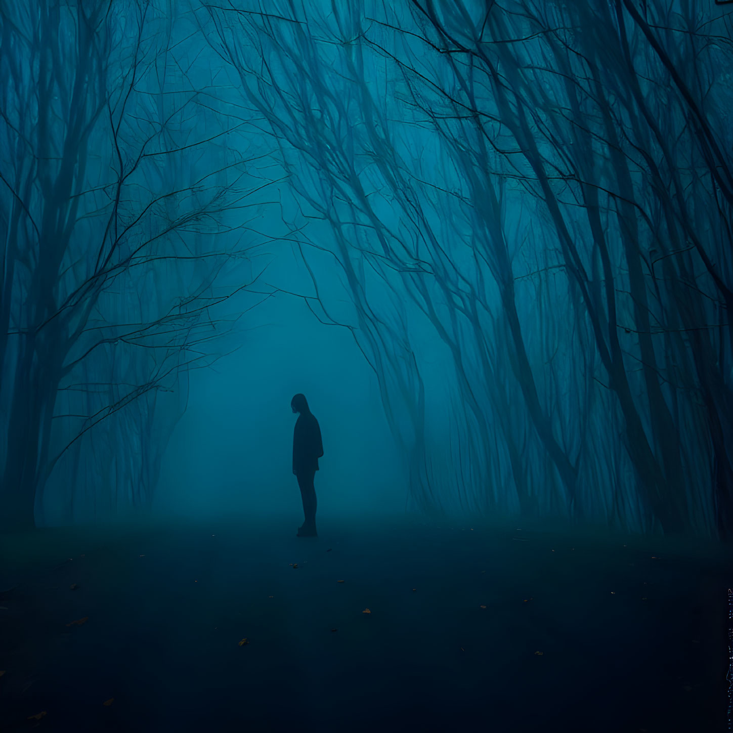 Solitary Figure in Dimly Lit Forest with Bare Trees