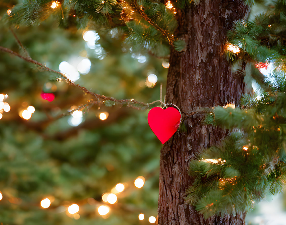Red Heart Ornament on Festive Tree with Twinkling Lights