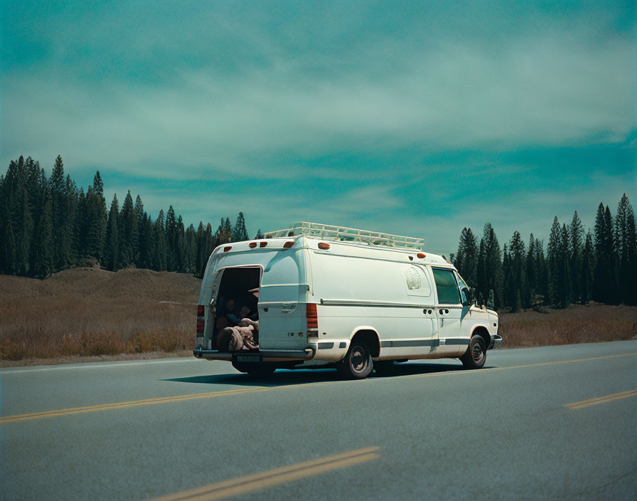 White van with open back door driving through pine tree-lined road