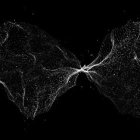 Abstract white fiber-like structures and particles in dynamic wave pattern on black background