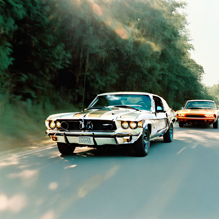 Two muscle cars on tree-lined road convey speed and timeless style