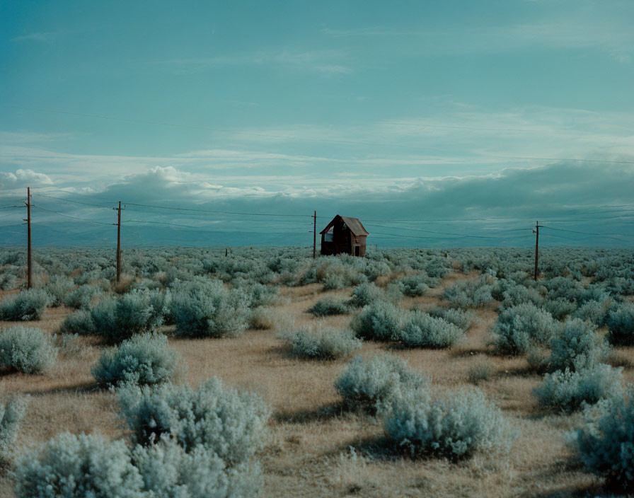 Solitary House in Field with Telephone Poles under Cloudy Sky