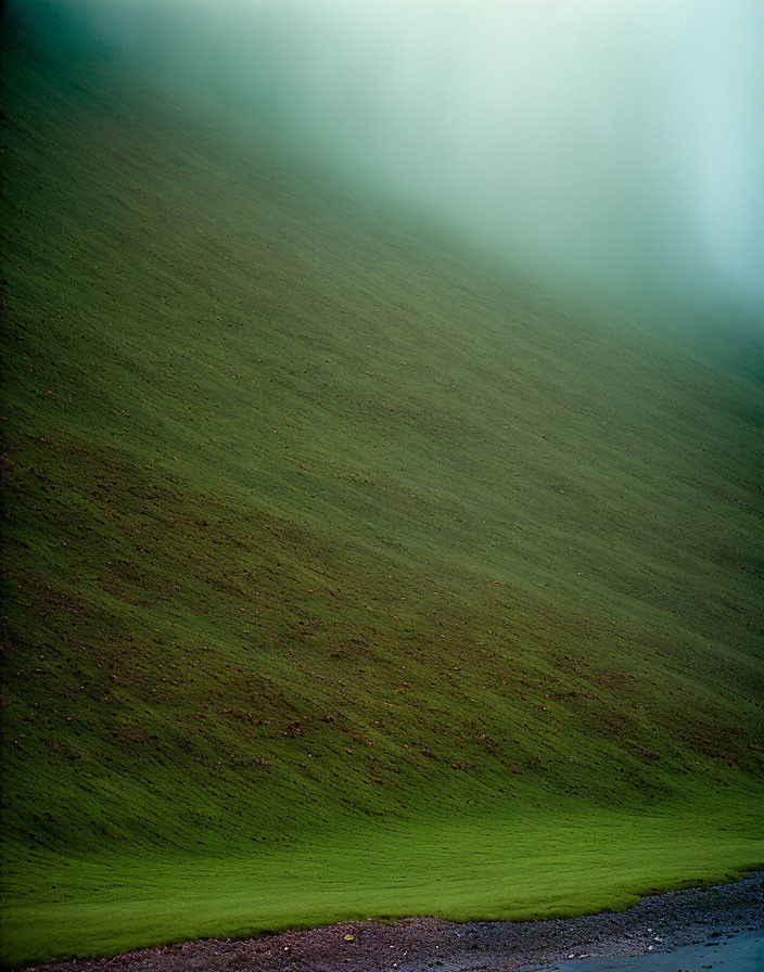 Green Hillside with Misty Atmosphere and Curving Surface