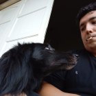 Man in dark shirt smiles at affectionate black dog.