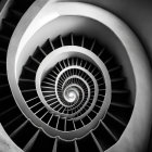 Monochrome spiral staircase with optical illusion of infinite depth