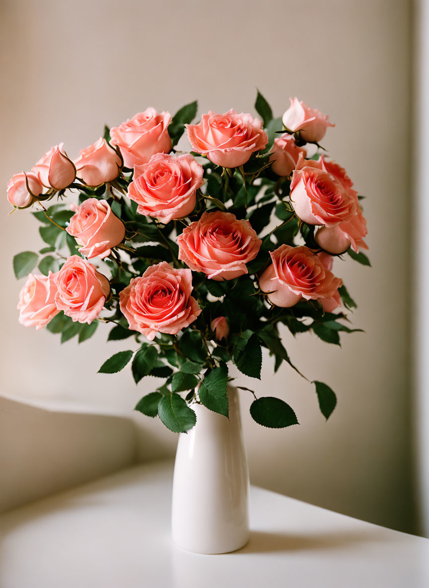 Fresh Pink Roses Bouquet in White Vase on Neutral Background