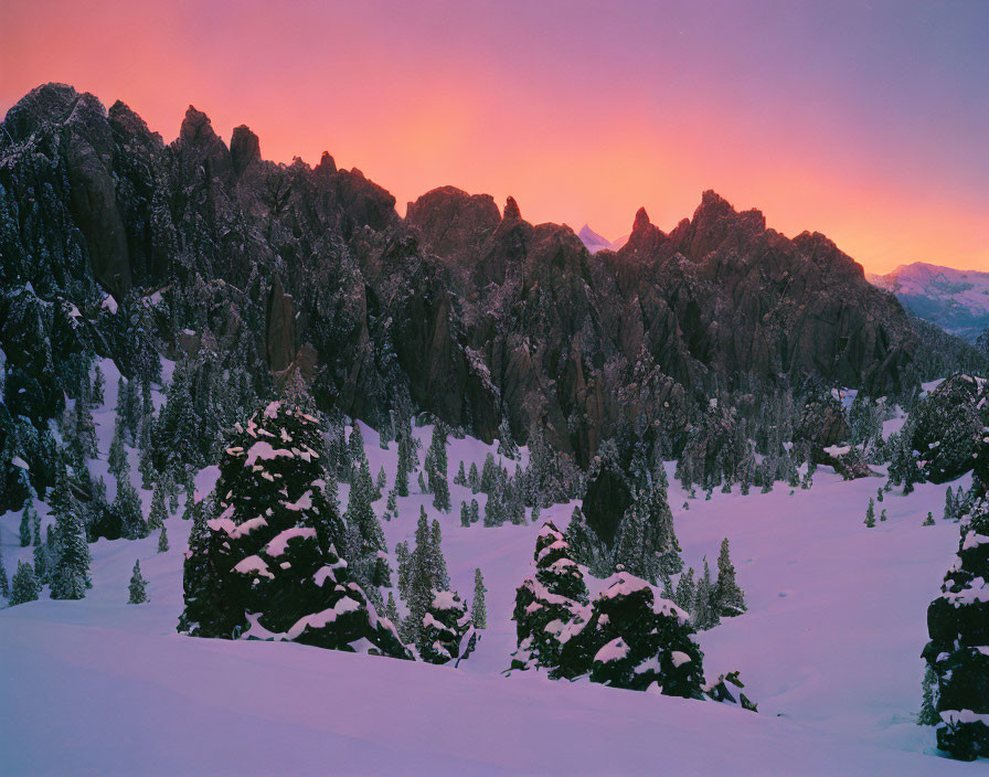 Snowy Mountain Landscape with Pine Trees at Dusk in Vibrant Sky