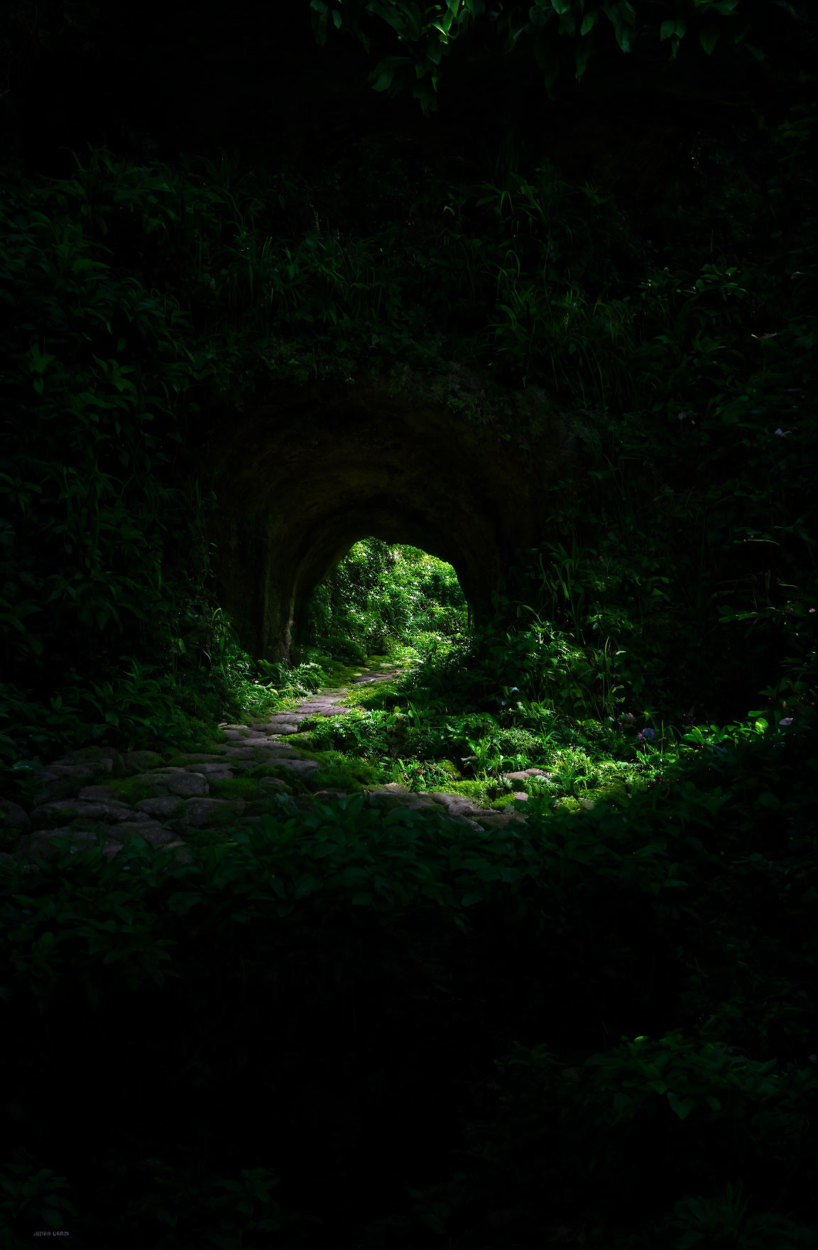 Lush Green Foliage Tunnel with Stone Pathway