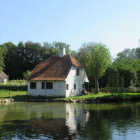 Collapsed walls in serene landscape with trees.