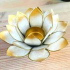 White Lotus Flower with Yellow Gradient on Water Surface