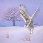 Majestic eagle flying over snowy landscape with frosted tree under purple sky