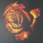 Colorful rose painting with red and yellow petals on dark background