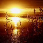 Tranquil lake sunrise with golden hues and reed silhouettes