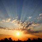 Silhouetted figures against vibrant sunset with blue and orange hues