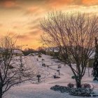 Snow-covered trees, frozen lake, lit homes, street lamp, colorful aurora - serene winter dusk