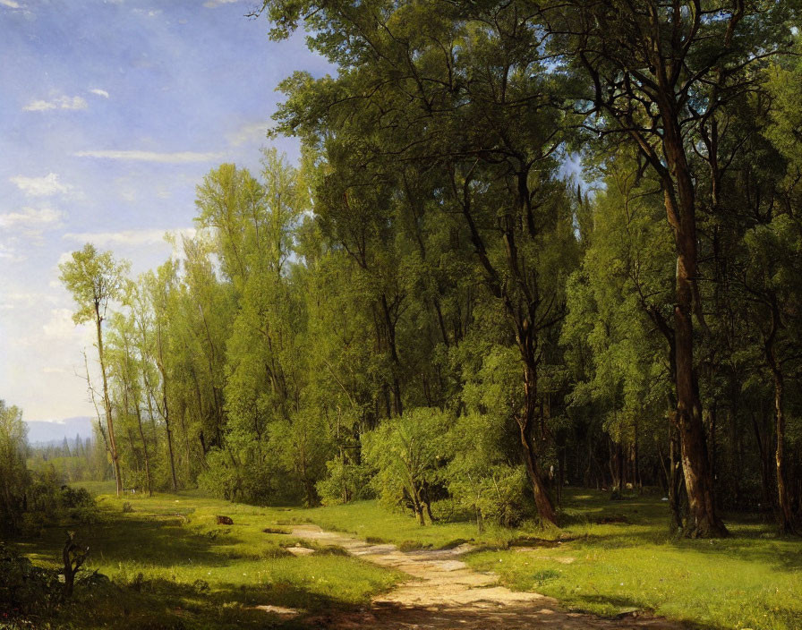 Tranquil forest landscape with tall green trees and winding path