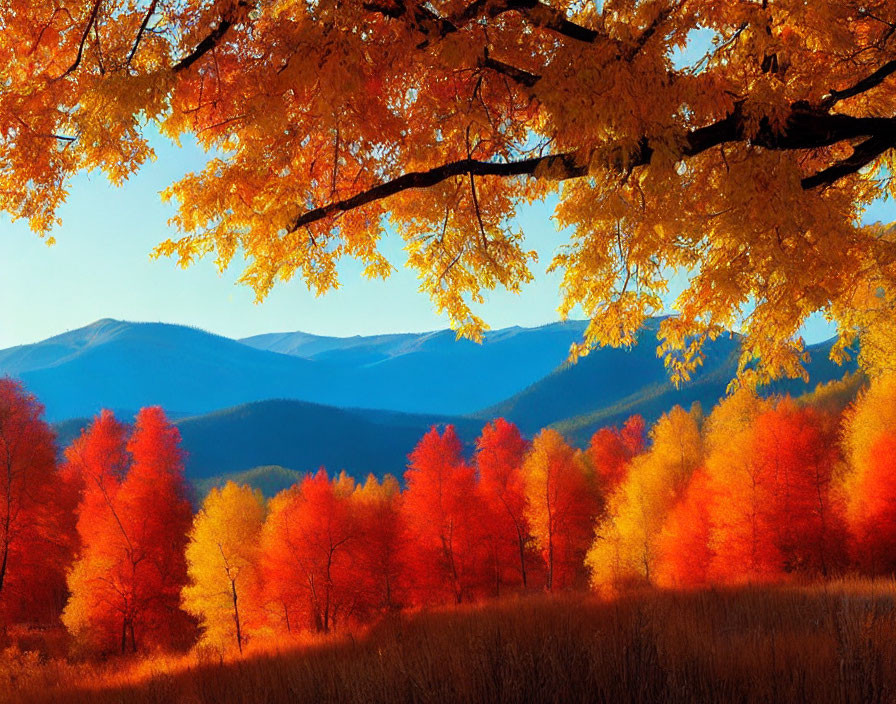 Colorful Autumn Landscape with Golden Leaves and Blue Mountains