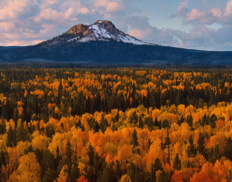 Snow-capped mountain overlooking autumn forest at dusk