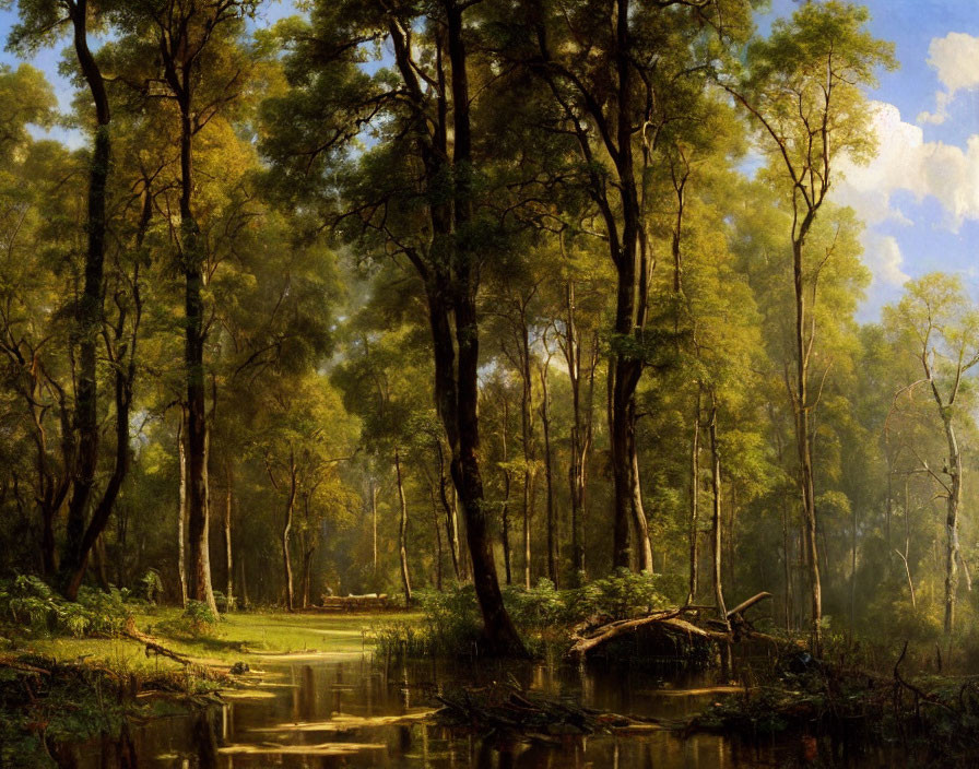 Tranquil forest scene with tall trees, stream, sunlight, and clear sky