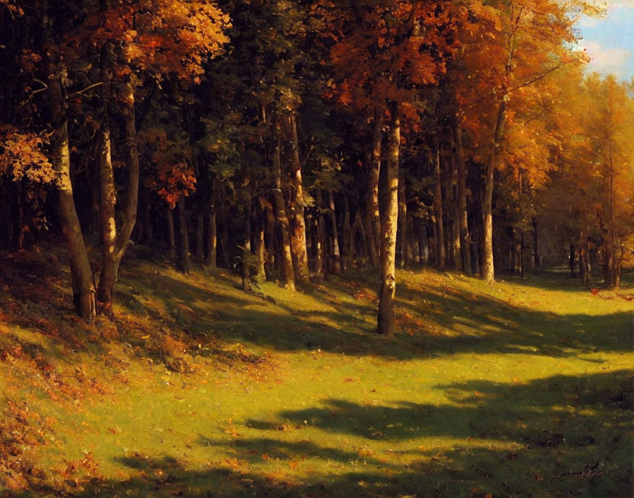 Autumn forest scene with sunlight filtering through trees