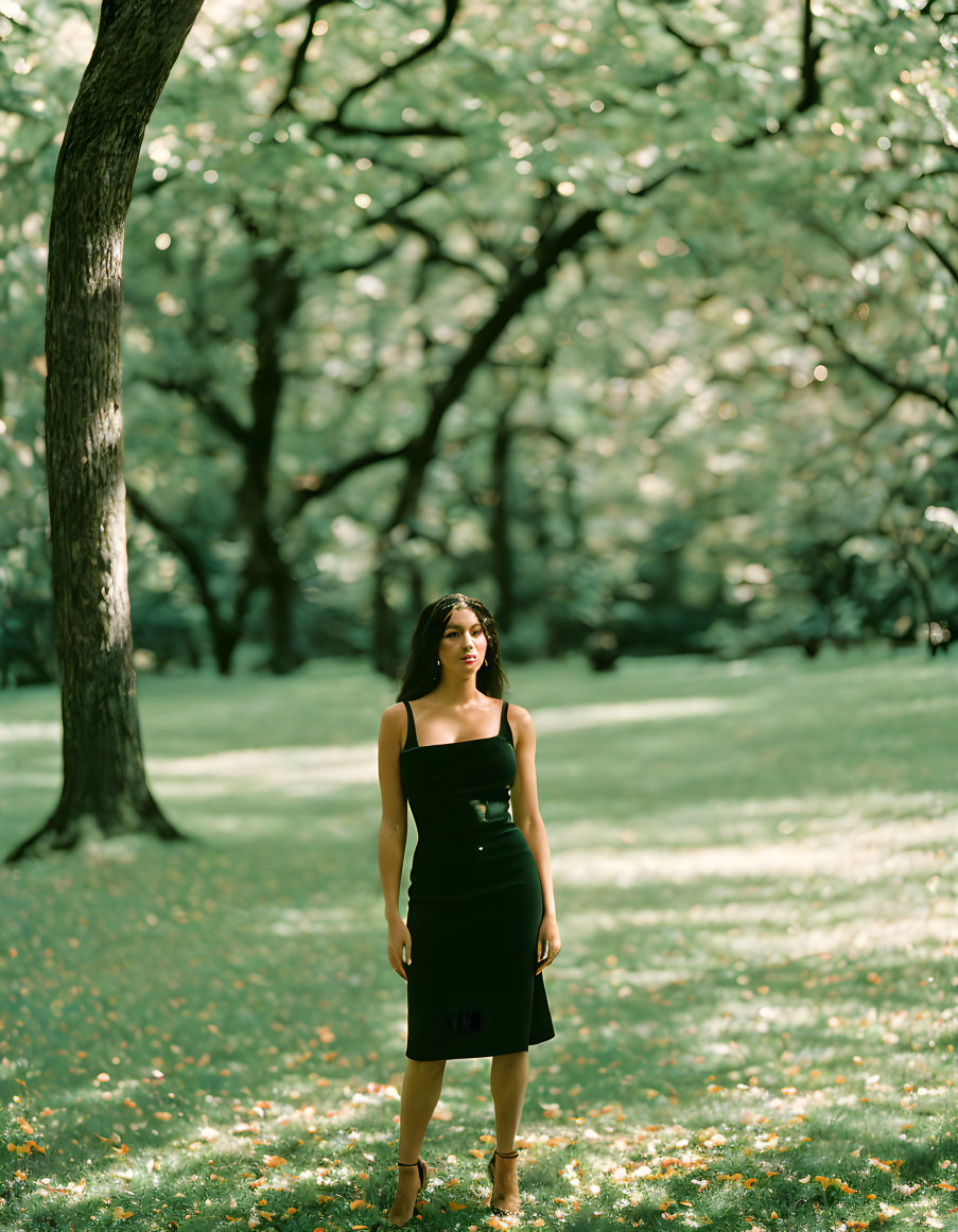 Woman in Black Dress in Sunlit Park with Green Trees and Yellow Flowers