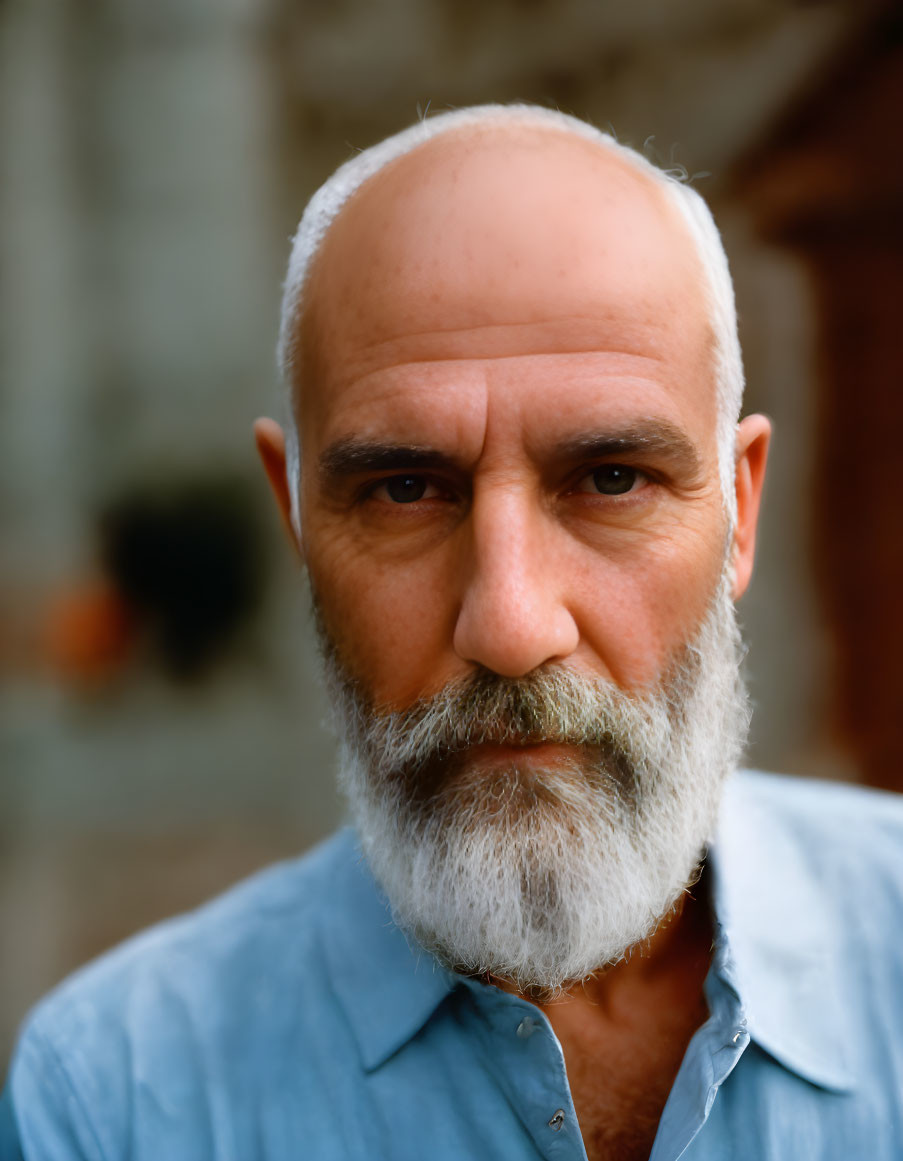 Intense gaze of bald man with full grey beard in blue shirt